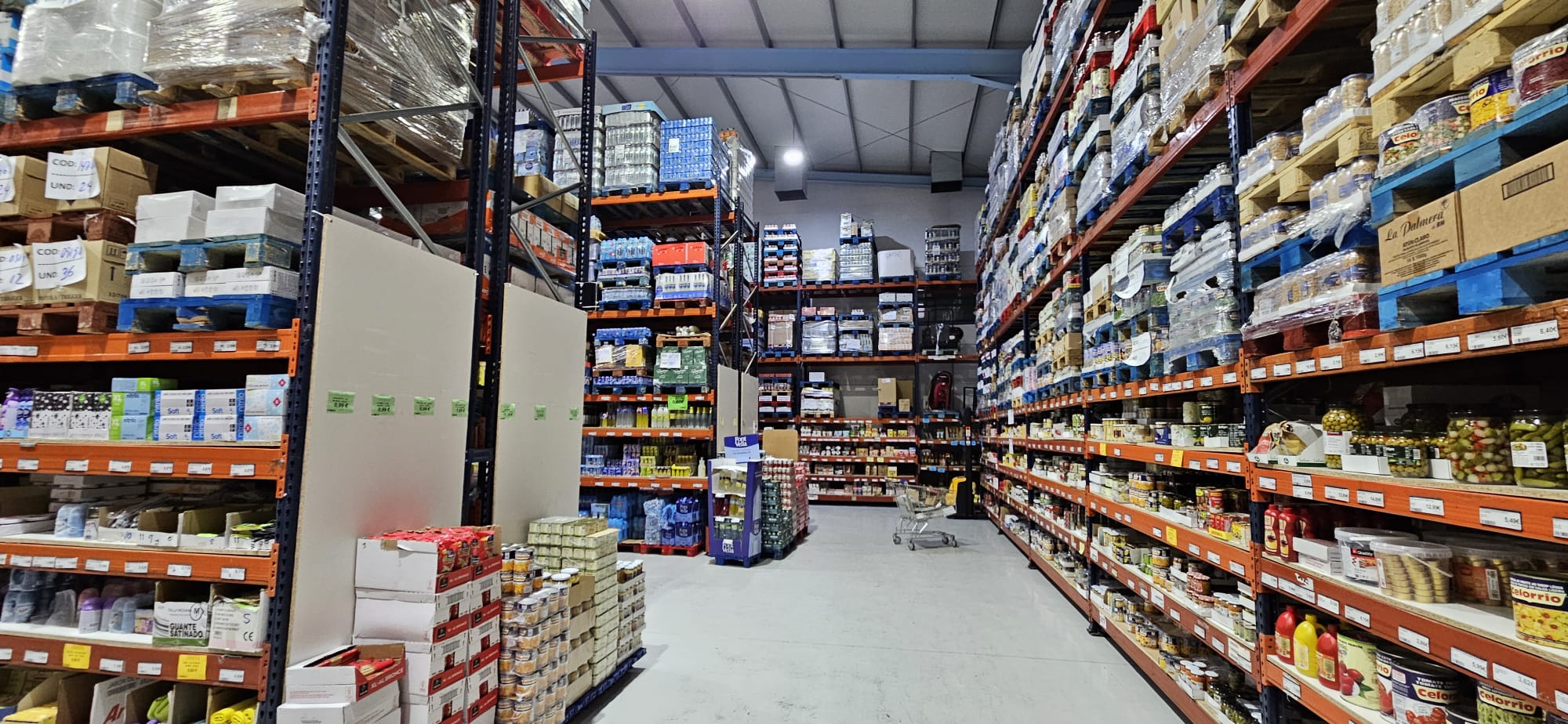 Reparto y distribución Bielsa